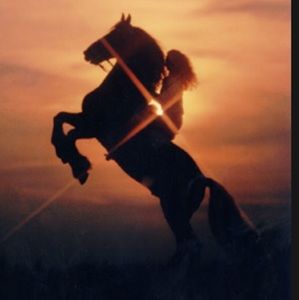 Meet your Posher, Zara